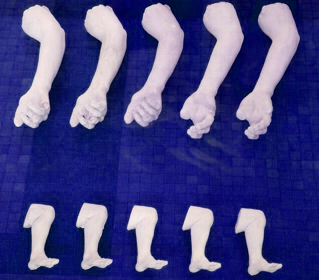 Rodin limbs